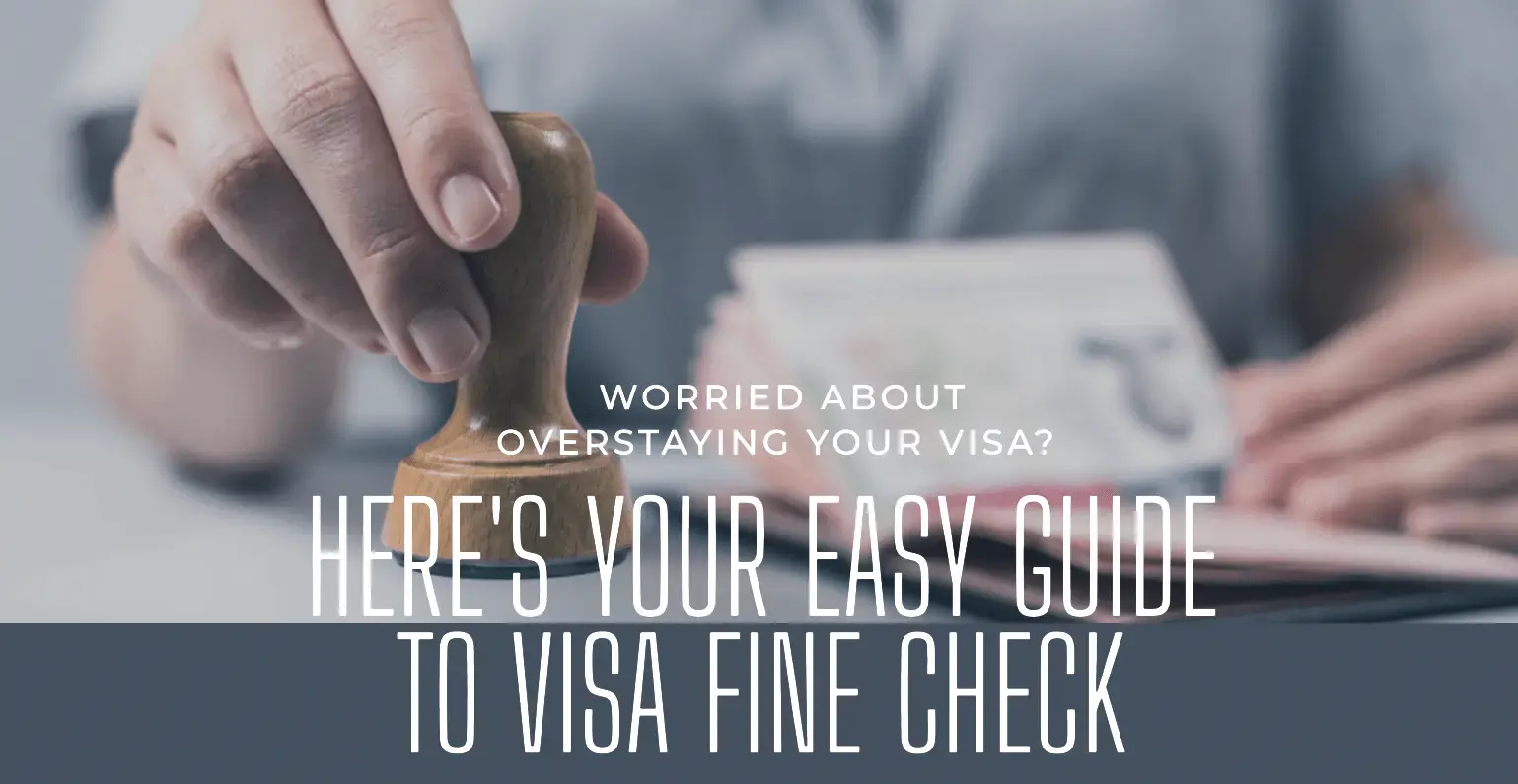 visa fine check