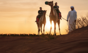 arabian adventures