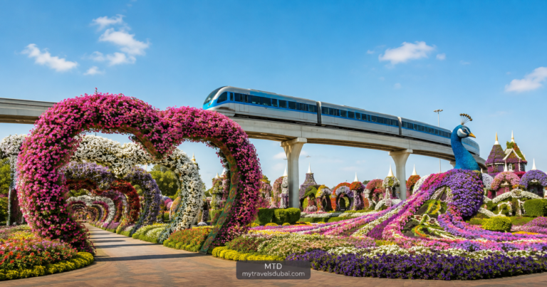 Mall of the Emirates Metro and Bus 105 route to Dubai Miracle Garden